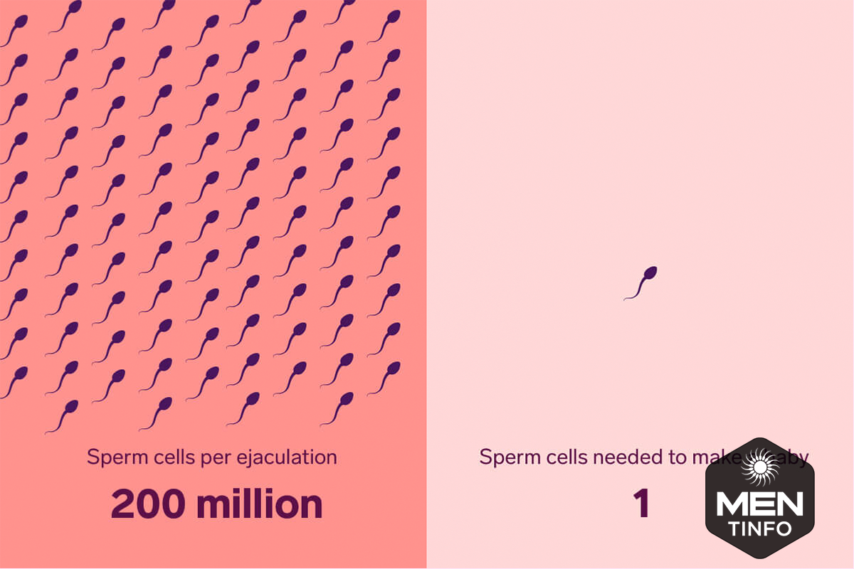 tinh-trung-yeu-co-the-thu-thai4