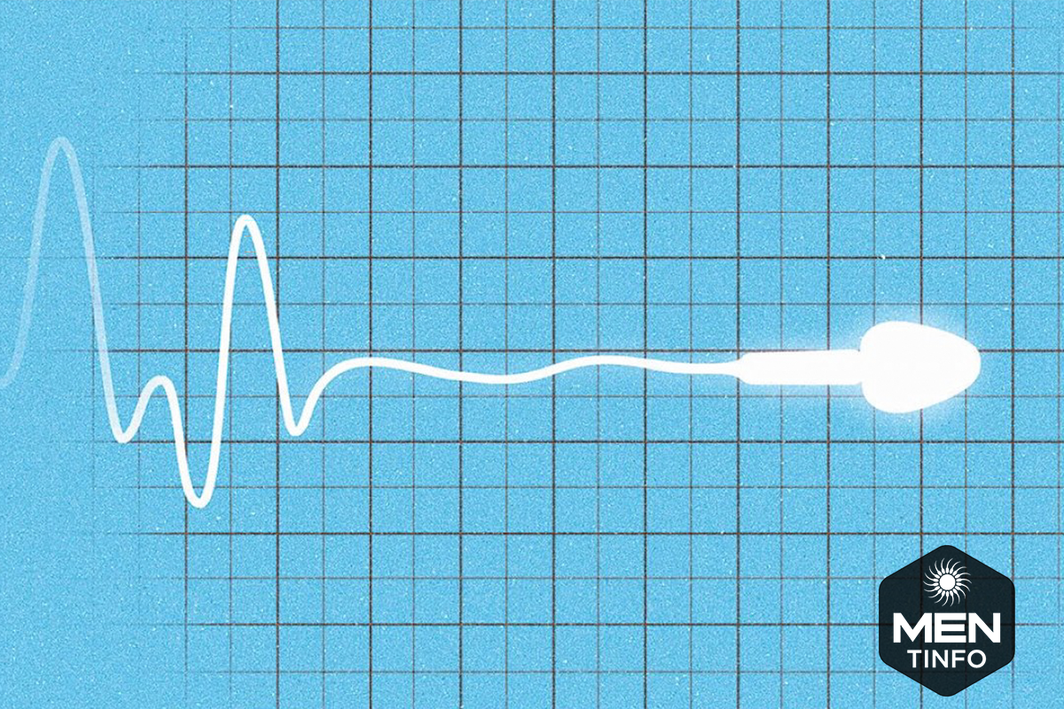 tinh-trung-yeu-la-như-the-nao1