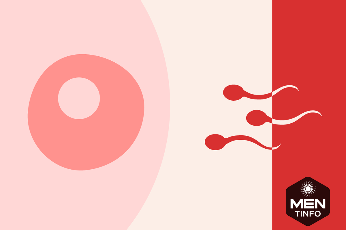 tinh-trung-yeu-co-anh-huong-den-thai-nhi1