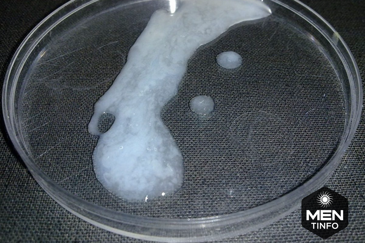 tinh-trung-yeu-la-như-the-nao2