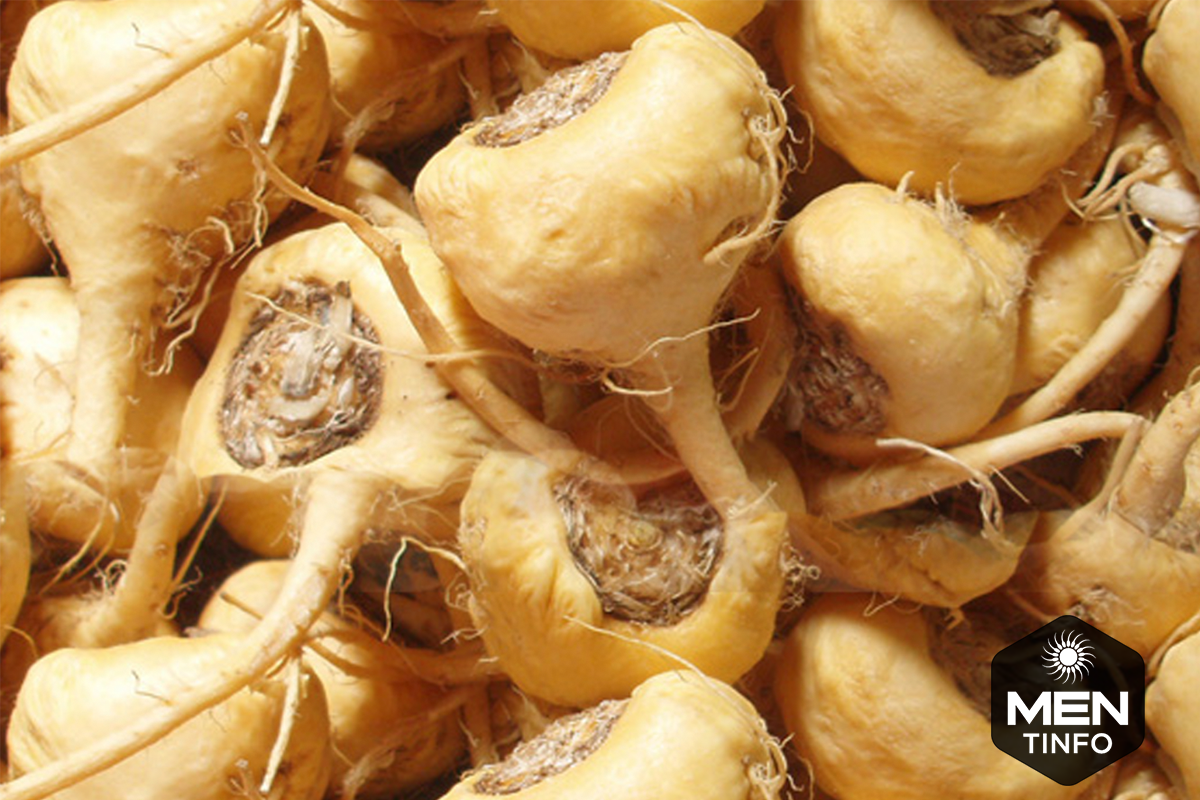 chua-tinh-trung-yeu-bang-dong-y2