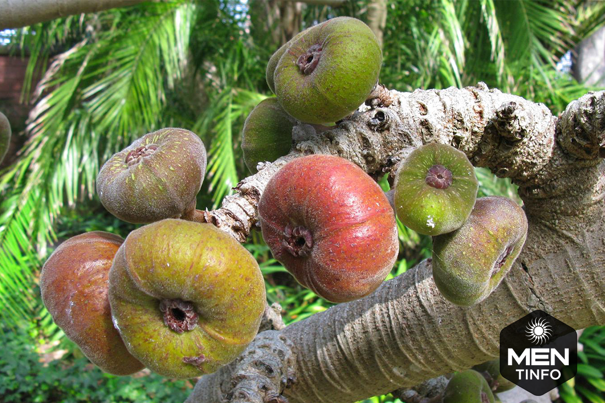 chua-tinh-trung-yeu-bang-dong-y3