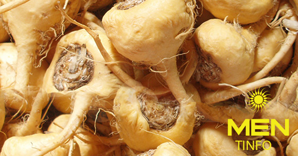 Lepidium meyenii giúp cải thiện sinh lý nam hiệu quả