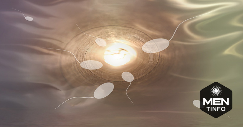 chat-luong-tinh-trung-co-anh-huong-den-thai-nhi