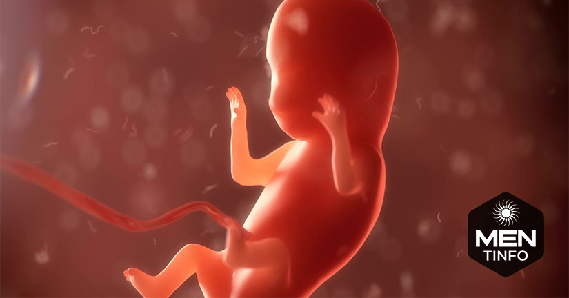 chta-luong-tinh-trung-c0-anh-huong-den-thai-nhi