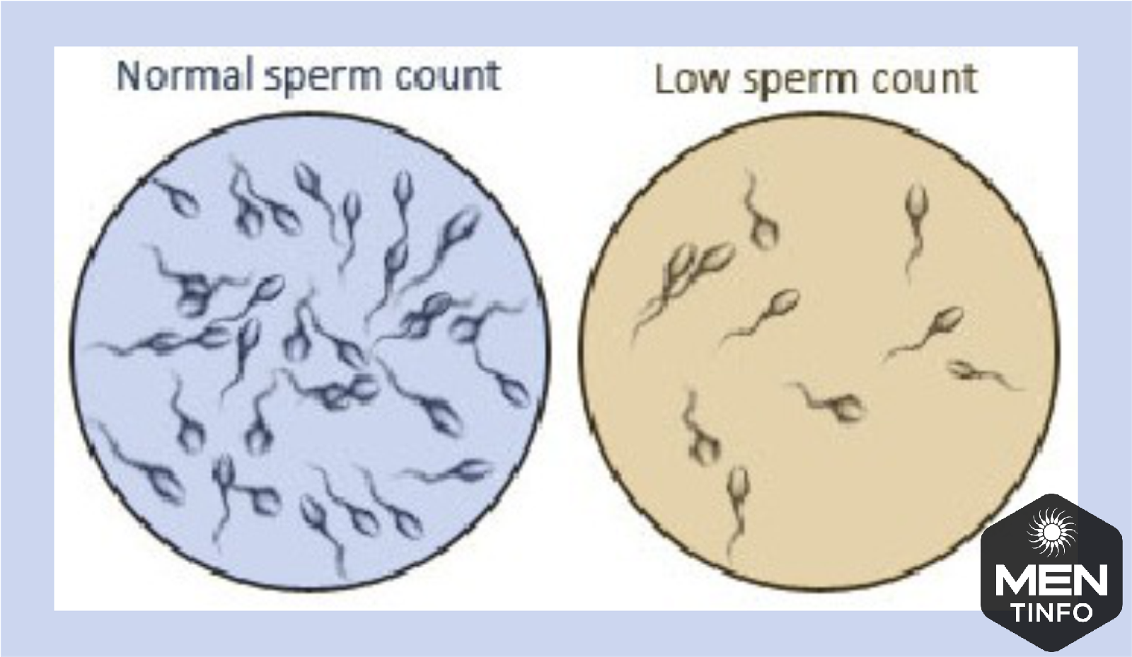 tinh-trung-yeu-la-gi -2