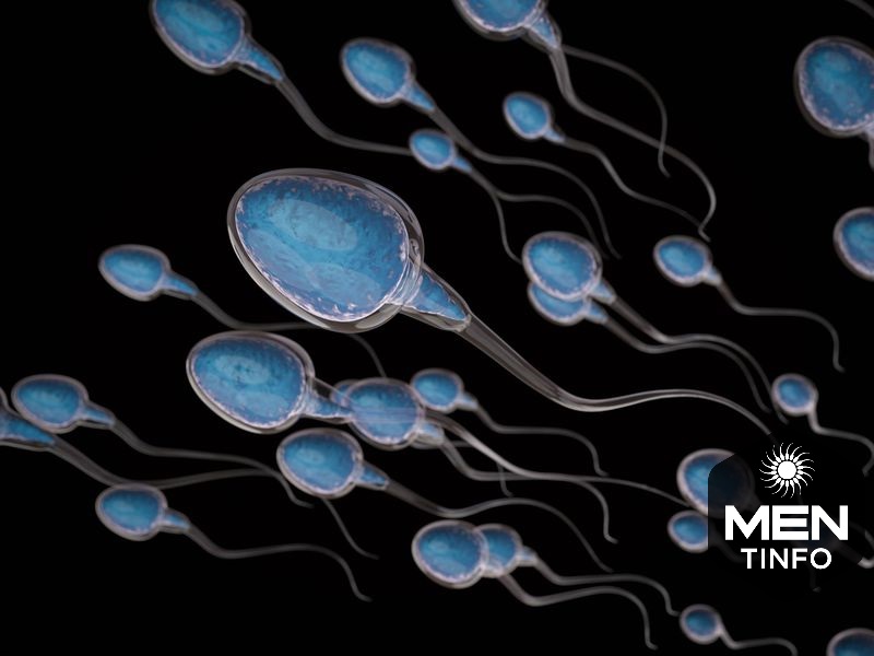 tinh-trung-yeu-la-gi